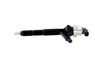 INJECTOR REMANTE 002003000192R 11