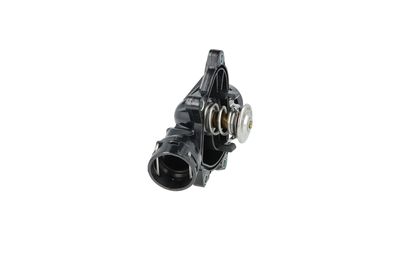 TERMOSTAT LICHID RACIRE NRF 725052 9