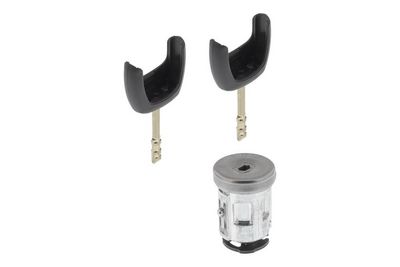 Slot/element (zwart) past: FORD FIESTA V, FUSION, TRANSIT 11.01-12.14