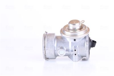 EGR Valve 98300