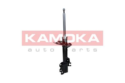 Shock Absorber 2000309