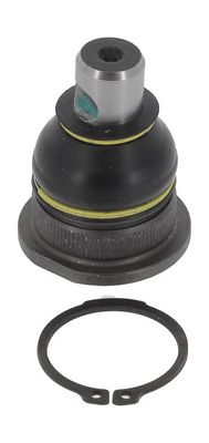 ARTICULATIE SARCINA/GHIDARE