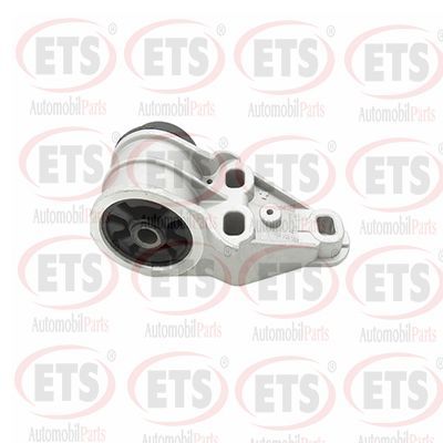 тампон, носач ETS 31.SB.036