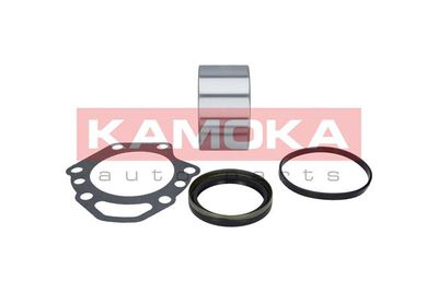 Wheel Bearing Kit 5600040