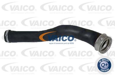 Трубка нагнетаемого воздуха VAICO V33-0038 для JEEP COMPASS