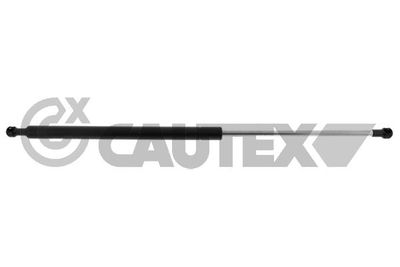CAUTEX 772804 Амортизатор багажника и капота  для AUDI A4 B6 Avant (8E5) 2.5 TDI quattro
