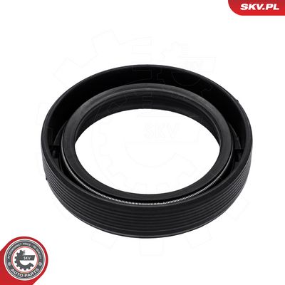 Packbox, vevaxel ESEN SKV 53SKV482