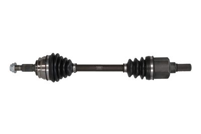 pusašis 5010897 KAMOKA