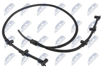 BPP-WW-018