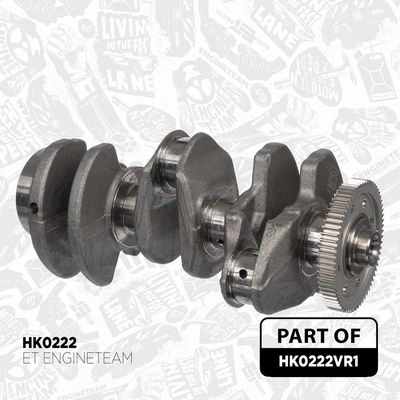 SET DE REPARAțIE ARBORE COTIT