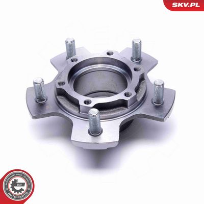 SET RULMENT ROATA ESEN SKV 29SKV530 2