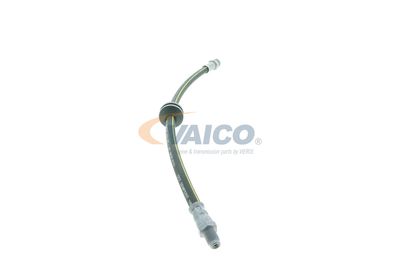 FURTUN FRANA VAICO V240954 38