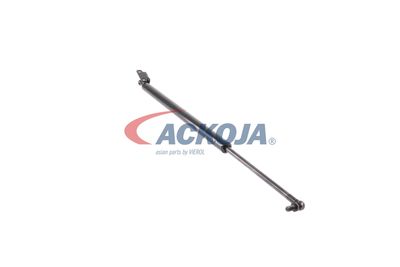 AMORTIZOR PORTBAGAJ ACKOJA A370097 21