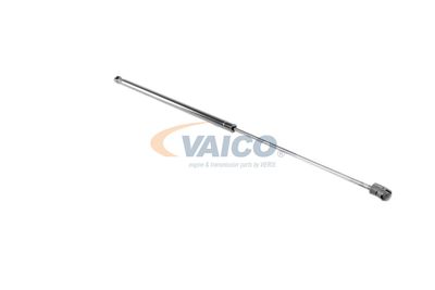 AMORTIZOR PORTBAGAJ VAICO V251064 19