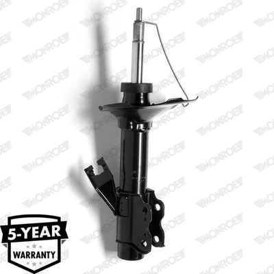 Shock Absorber G16612