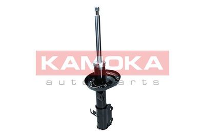 Shock Absorber 2000568