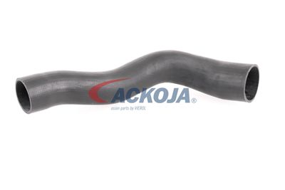 FURTUN EAR SUPRAALIMENTARE ACKOJA A379600 57