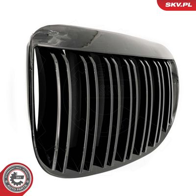 GRILA RADIATOR ESEN SKV 66SKV205 4