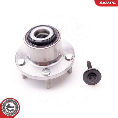 SET RULMENT ROATA ESEN SKV 29SKV021 2