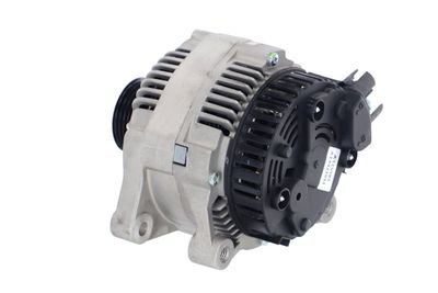 GENERATOR / ALTERNATOR REMANTE 011003000010R 19