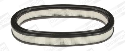 Champion Air Filter CAF100225R