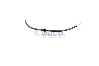 FURTUN FRANA VAICO V201909 37