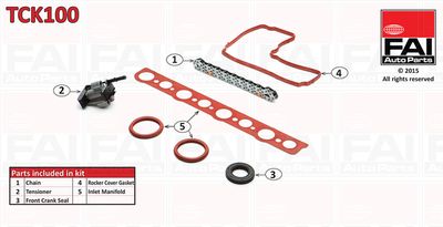 Timing Chain Kit TCK100