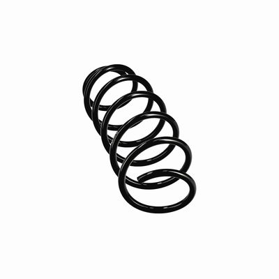 ARC SPIRAL EIBACH R11019 24