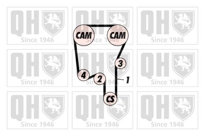 SET CUREA DE DISTRIBUTIE QUINTON HAZELL QBK445 1