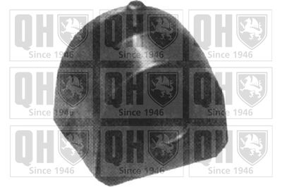 QUINTON HAZELL EMB7045 Опора, стабилизатор 