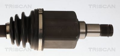 PLANETARA TRISCAN 8540295068 2