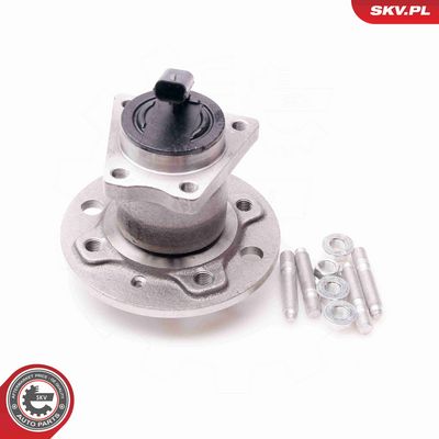 SET RULMENT ROATA ESEN SKV 29SKV113 1