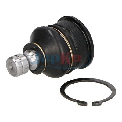 Trag-/Führungsgelenk