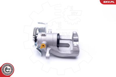 Brake Caliper 42SKV403