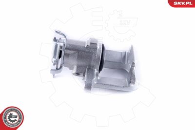 Brake Caliper 55SKV263