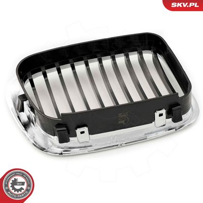GRILA RADIATOR ESEN SKV 66SKV063 7