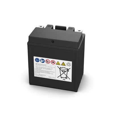 BATERIE DE PORNIRE BOSCH 0986FA1160 17