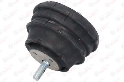 SUPORT MOTOR BIRTH 50124 1
