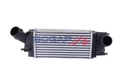 INTERCOOLER COMPRESOR BOGAP P4220116