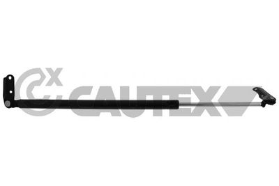 CAUTEX 773003 Амортизатор багажника и капота  для TOYOTA PICNIC (Тойота Пикник)