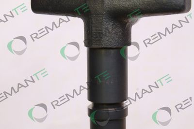 INJECTOR REMANTE 002021001048R 3
