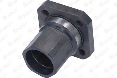 FLANSA LICHID RACIRE BIRTH 4030 2