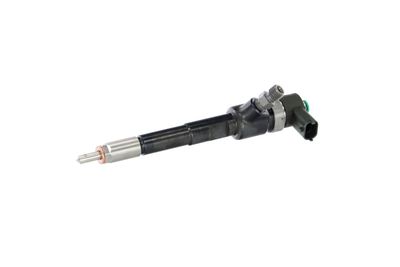 INJECTOR REMANTE 002003002244R 7