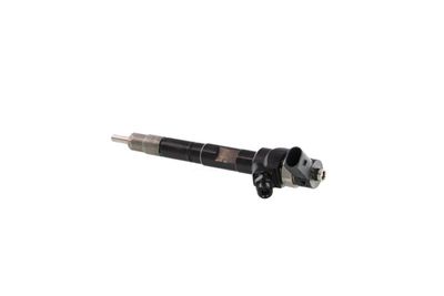 INJECTOR REMANTE 002003000034R 14