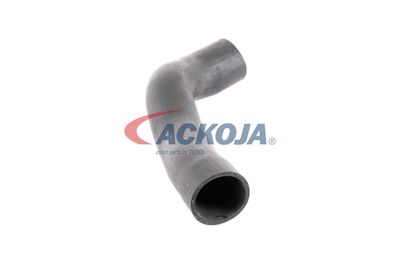 FURTUN EAR SUPRAALIMENTARE ACKOJA A379600 47