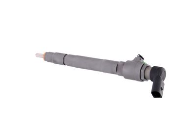 INJECTOR REMANTE 002003001053R 15