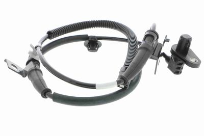 SENZOR TURATIE ROATA