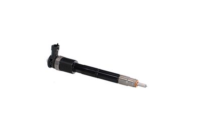 INJECTOR REMANTE 002003002307R 44