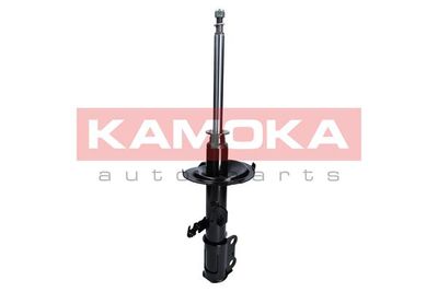 Shock Absorber 2000424