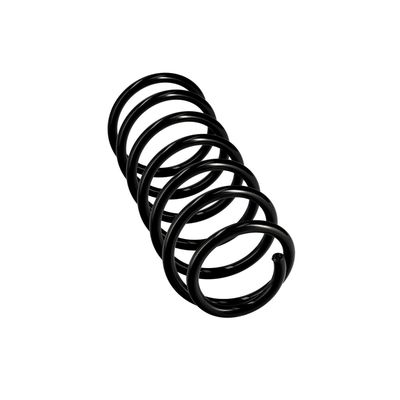 ARC SPIRAL EIBACH R11061 12